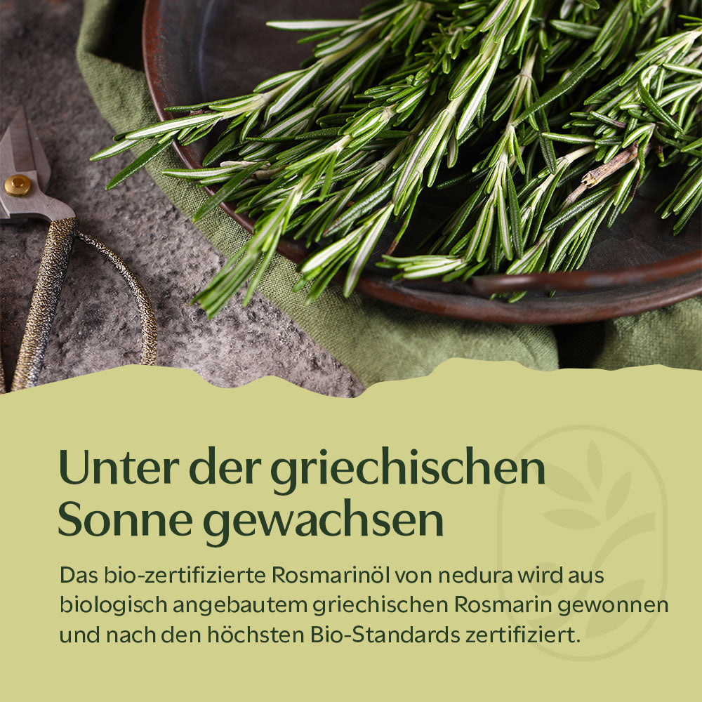 BIO Rosmarinöl