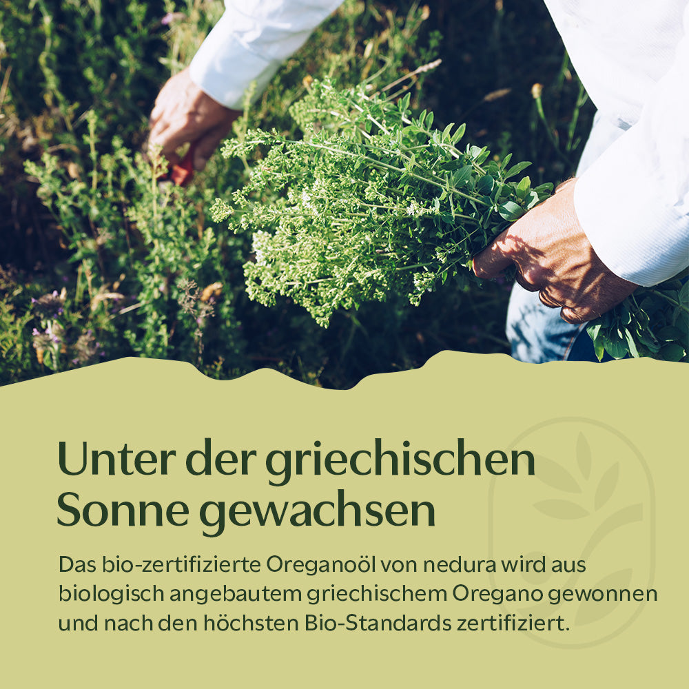 BIO Oreganoöl