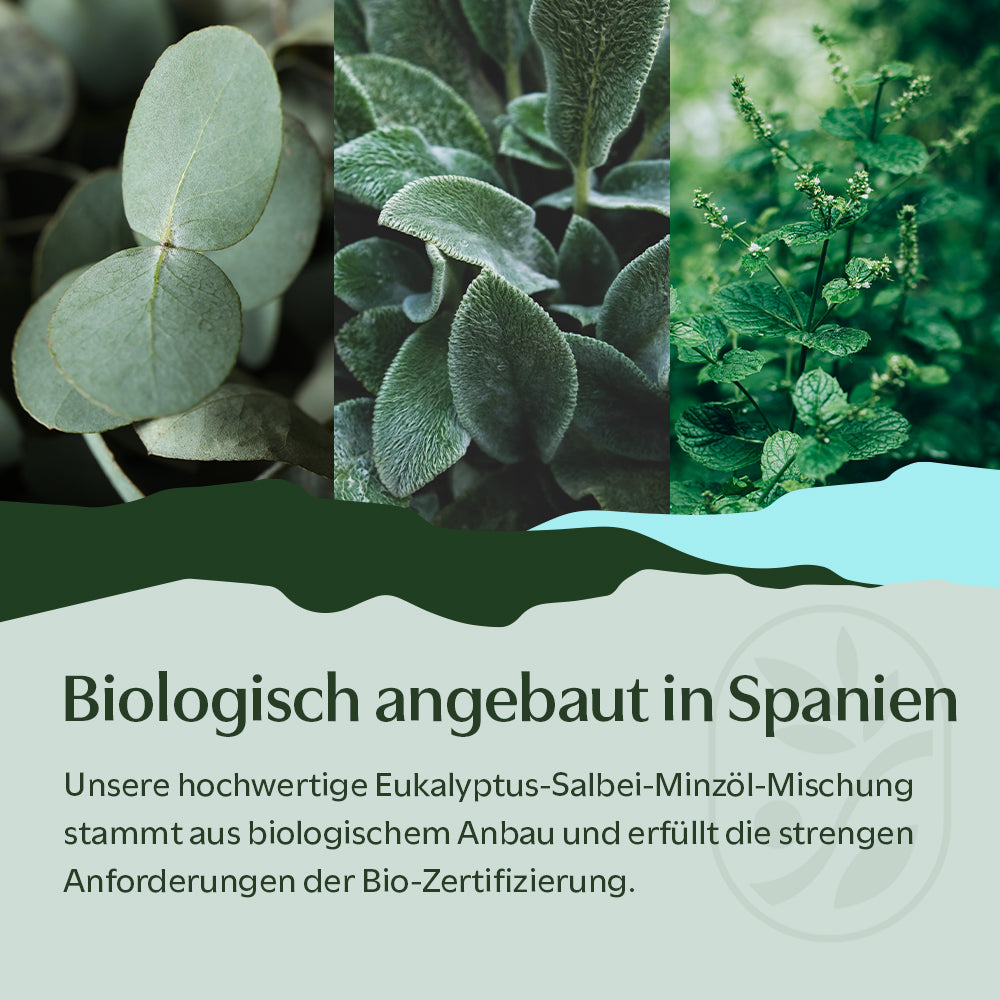 BIO Eukalyptus-Salbei-Minzöl