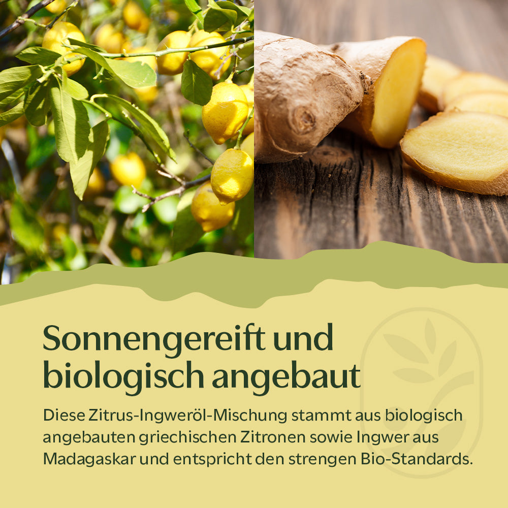 BIO Zitrus-Ingweröl