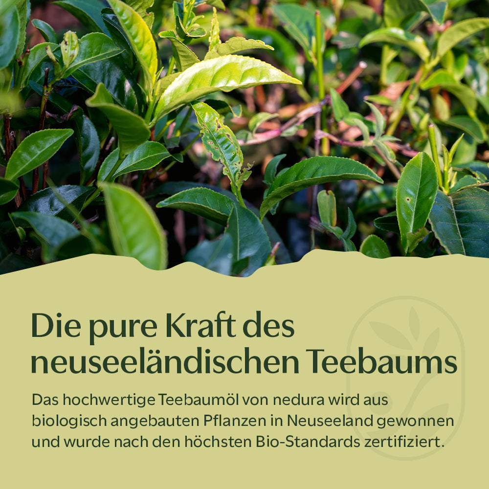 BIO Teebaumöl