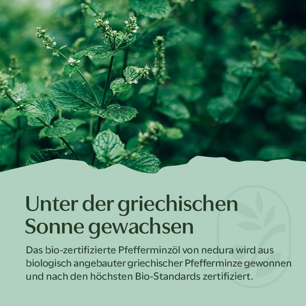 BIO Pfefferminzöl