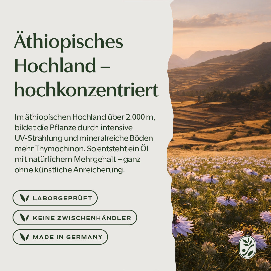 Extra aktives Schwarzkümmelöl ungefiltert