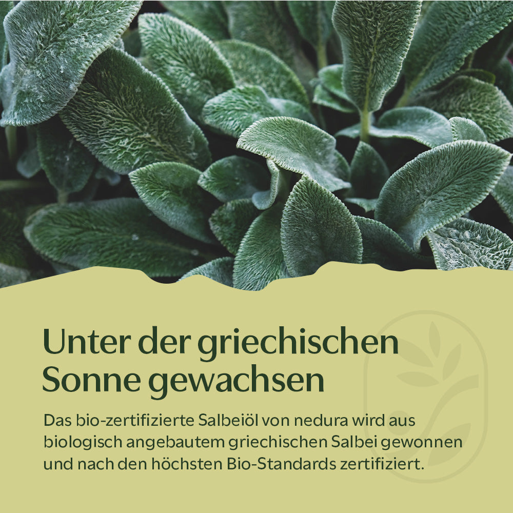 BIO Salbeiöl