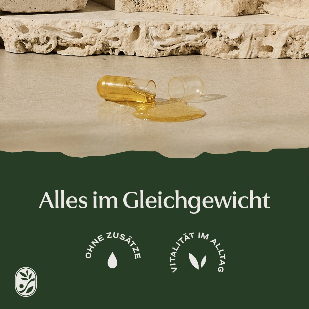 Omega 3 Algenöl Kapseln