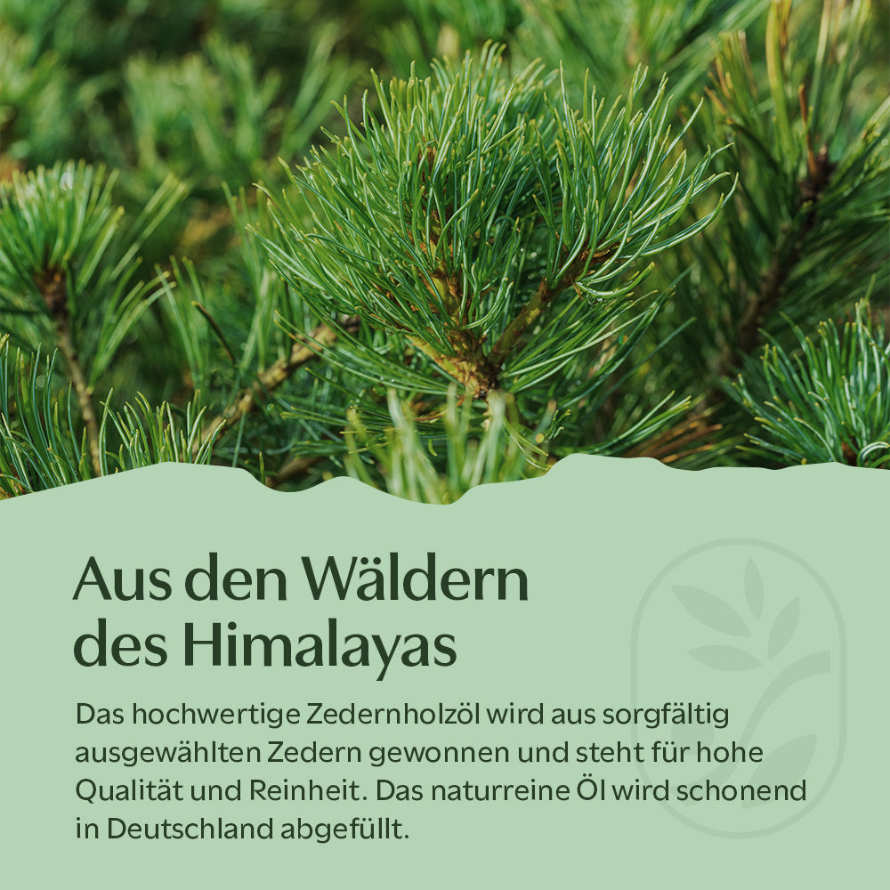 Zedernholzöl