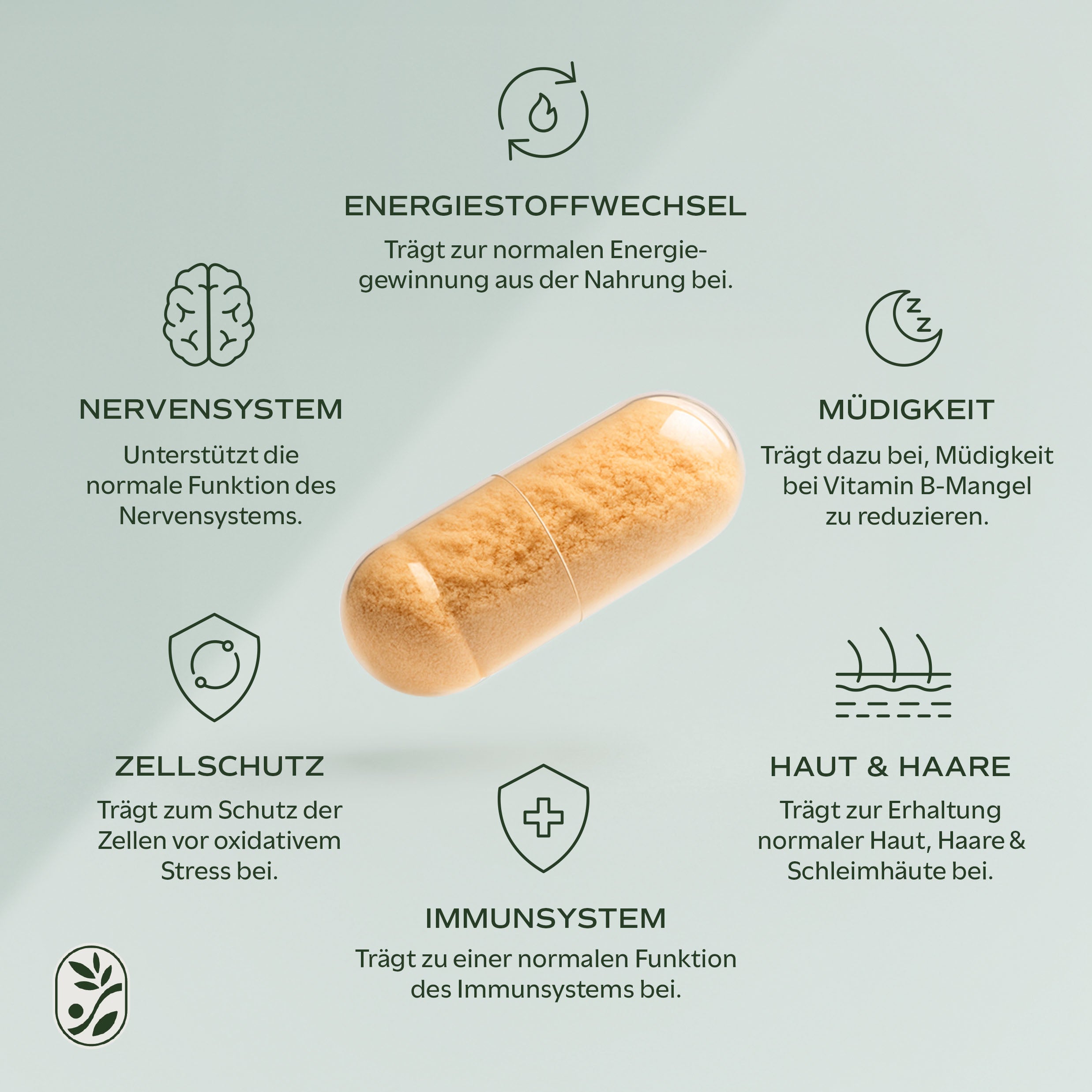 Vitamin B Komplex - 200 Kapseln