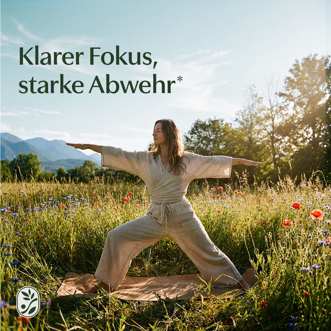 Zink Bisglycinat - 150 Kapseln