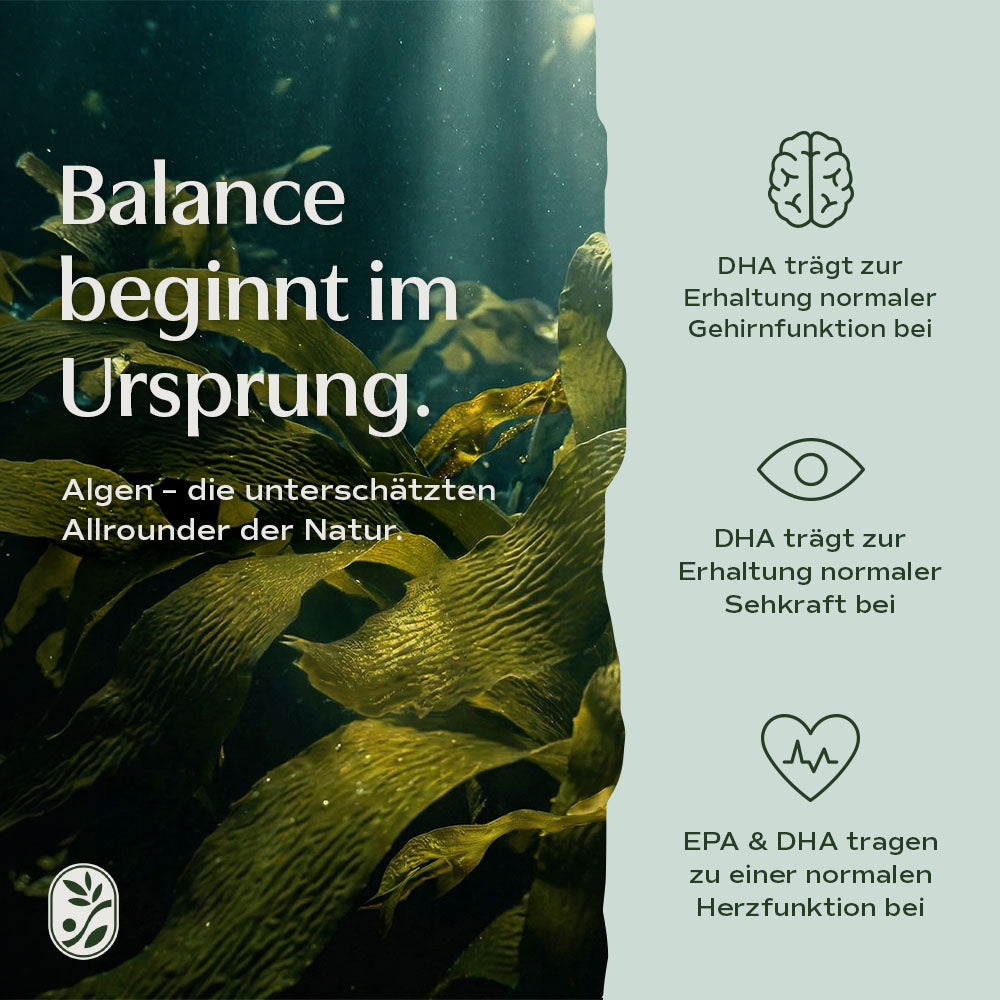 Omega 3 Algenöl Kapseln