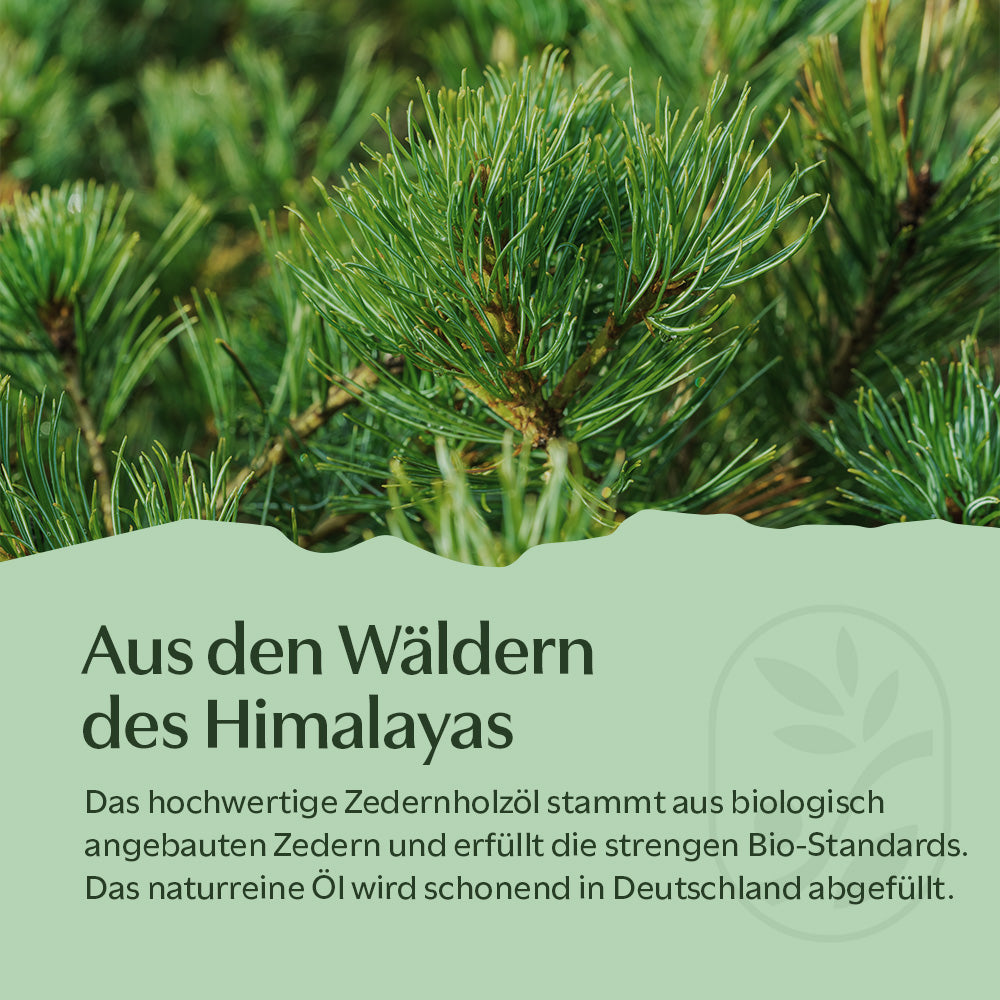 BIO Zedernholzöl
